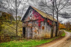 Barn And Red Leaves