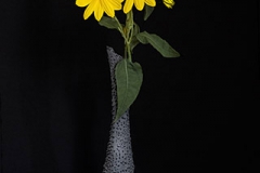 Vase And Yellow Flowers