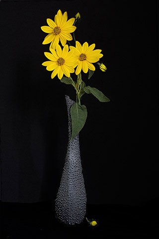 Vase And Yellow Flowers
