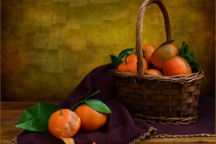 A Basket of  Mandarins