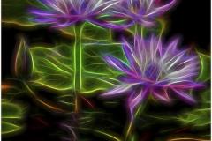 Neon Water Lilies