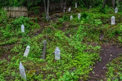 Gold Rush Cemetery