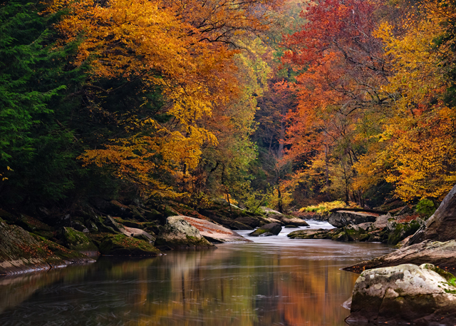 Autumn on the Painted River