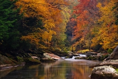 Autumn on the Painted River
