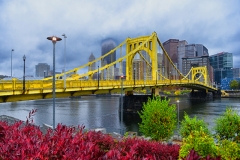 Clemente Bridge with PNC bushes