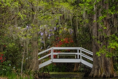 Magnolia-Gardens-Bridge