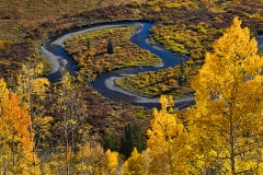 Meandering Stream in Fall