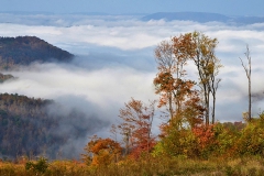 Valley of Fog