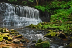 The Waterfall