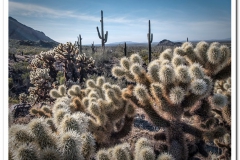 Evening at Picacho Peak Arizona