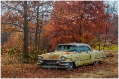 1955 Cadillac