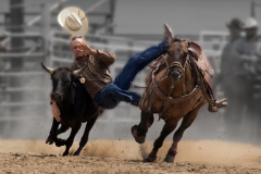 Steer Wrestling