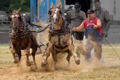 Pony Pull Competition