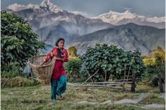 Returning from Mountain Market Nepal