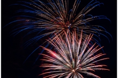 Firework Blooms