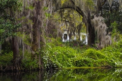 Plantation in the Trees