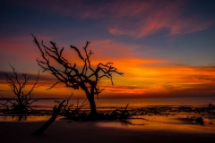 Driftwood Beach