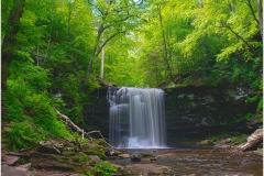 Ricketts Glen