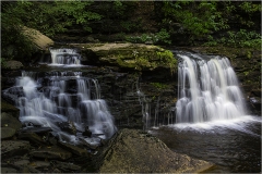 Cayuga Falls