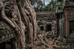 Covering Angkor Wat