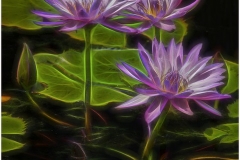 Neon Water Lilies