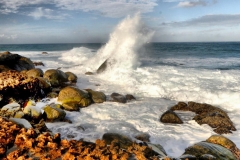 Aruba Ocean