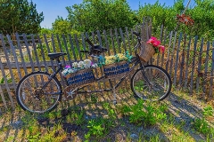 Beach Bike