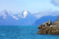 Alaskan Seascape