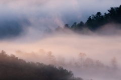 Foggy Valley Light