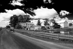 Amish Farm & Cart