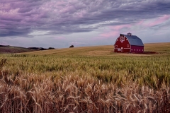 Palouse Country Barn