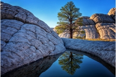 Lone Pine White Pocket Utah