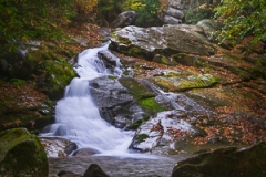 Rainy Cascade