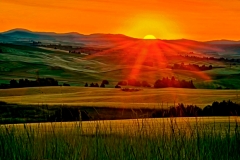 Palouse Sunrise