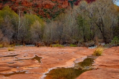 Cathedral Rock