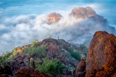 Desert Fog