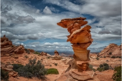 South Coyote Buttes