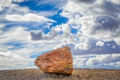 Painted Desert Solitaire