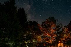 RVing Under the Milky Way