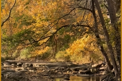 Mingo Creek