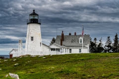 Pemaquid In The Dandelions