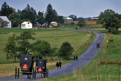 Amish Buggoes in Maryland No 2