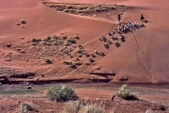 Great Sand Dunes National Park in Colorado No 2