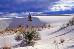 White Sands National Monument in New Mexico