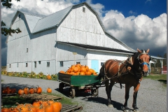 Country Barn