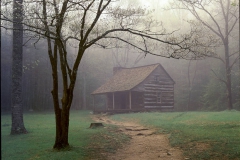 Cabin in Fog