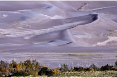 Colorado Sand Dunes