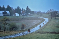 Amish Buggies in Maryland No 1